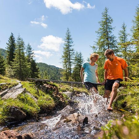 Residence Alba Montis Bad Kleinkirchheim Dış mekan fotoğraf