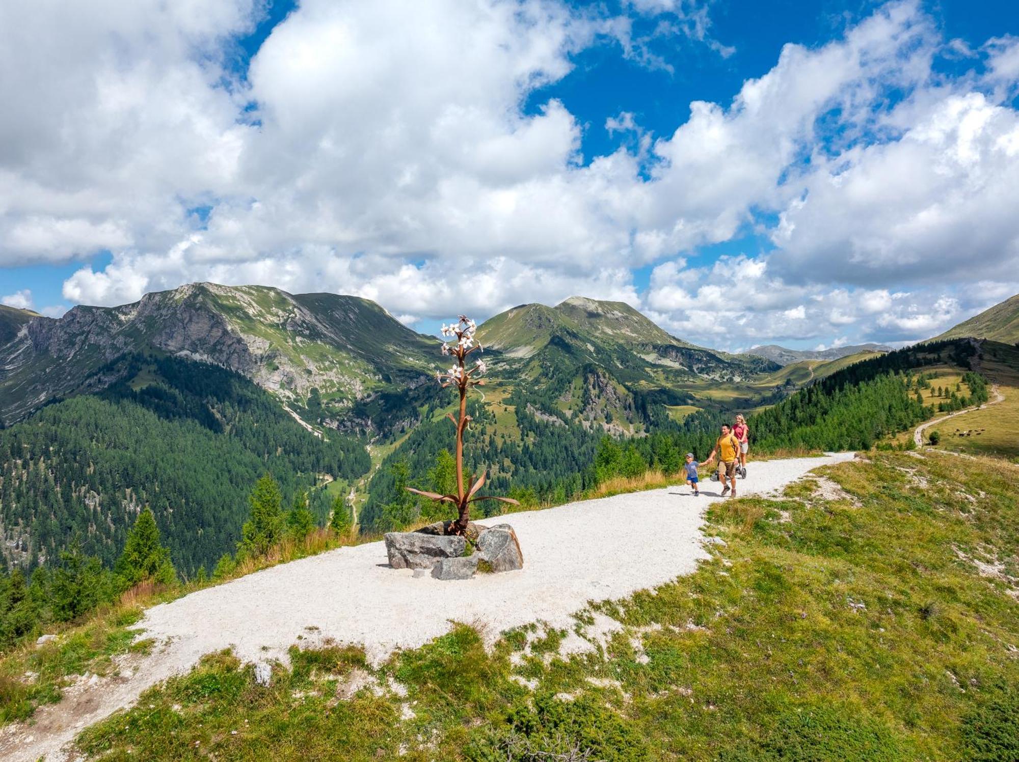 Residence Alba Montis Bad Kleinkirchheim Dış mekan fotoğraf